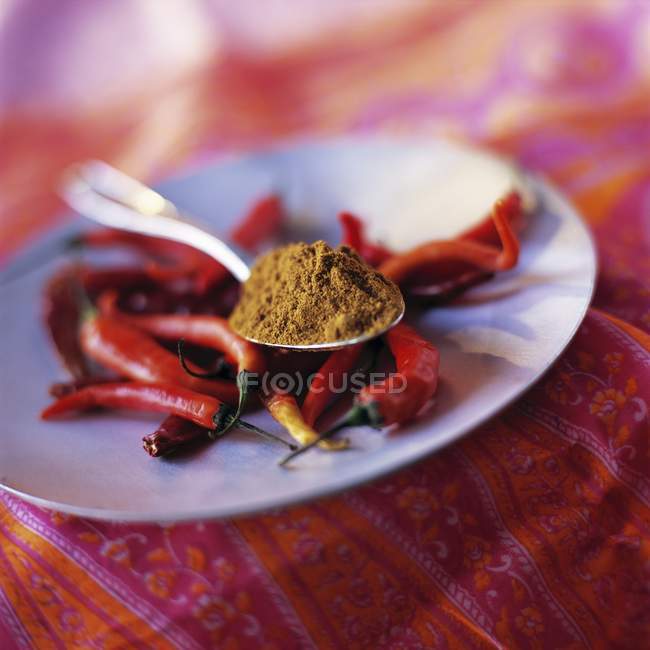 Closeup view of curry powder on spoon over chilli peppers on plate — Stock Photo
