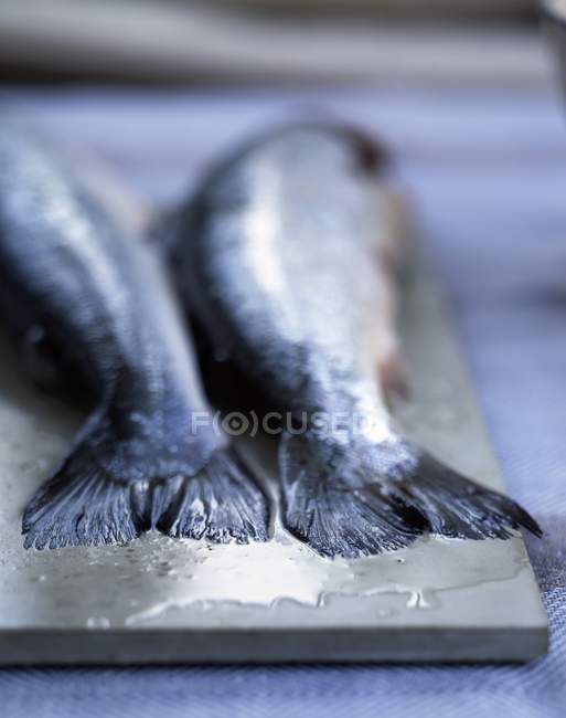 Salmon tails on chopping board — Stock Photo