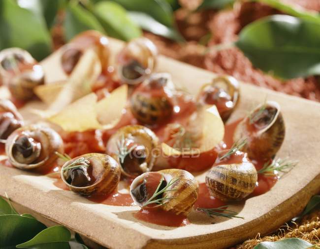 Snails in spicy sauce, filo pastry chips on wooden desk — Stock Photo