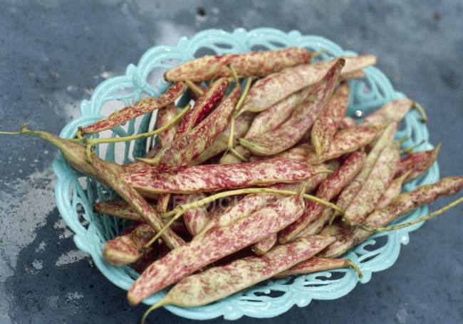 Italian haricot beans — Stock Photo