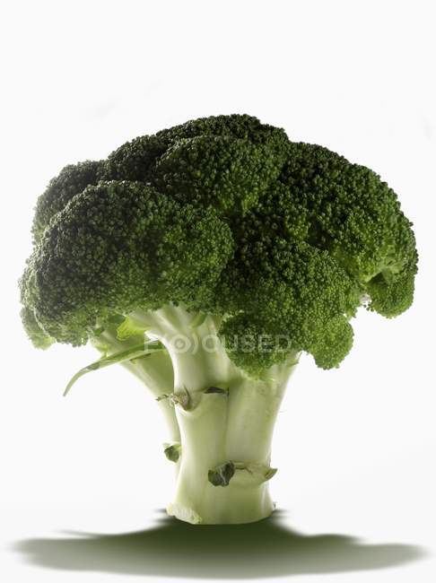 Brocoli frais mûr — Photo de stock
