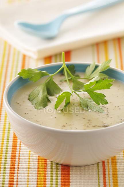 Суп из цветной капусты в миске — стоковое фото