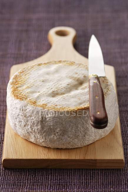 Tomme de lozre Käse — Stockfoto