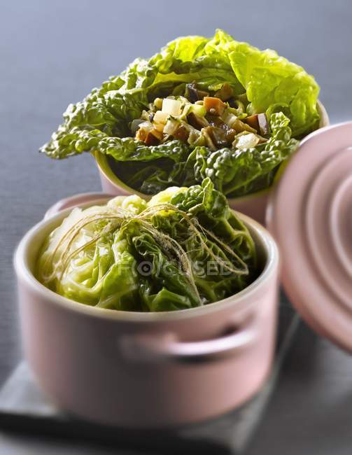 Casserole dish of cabbage — Stock Photo