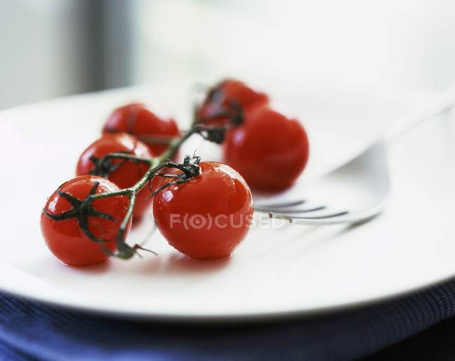 Ramo de tomates cherry - foto de stock