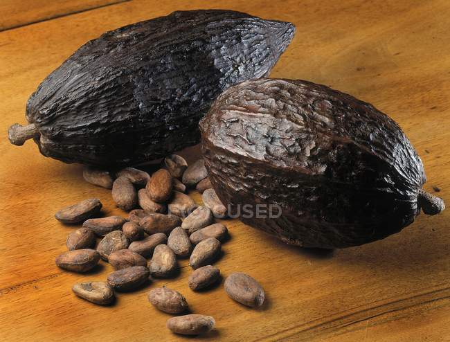 Vaina de cacao cabosse - foto de stock