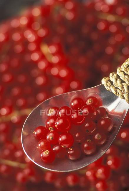 Fresh Redcurrants with spoon — Stock Photo