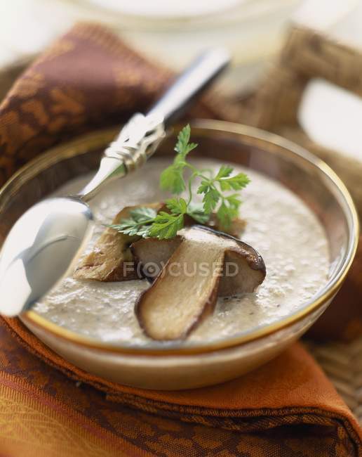 Cream of mushroom consomme soup — Stock Photo