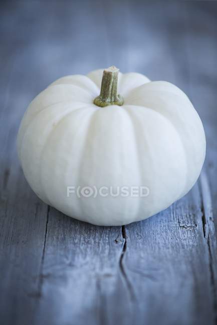 Baby Boo pumpkin — Stock Photo
