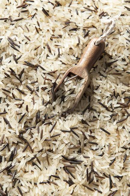 Weißer und wilder Reis — Stockfoto