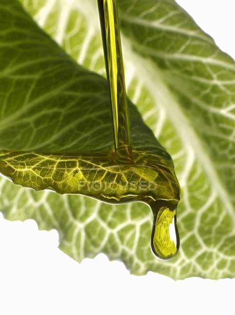 Olive oil dropping on lettuce leaf — Stock Photo