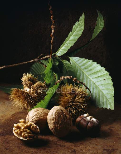 Волоські горіхи і каштани з листям — стокове фото