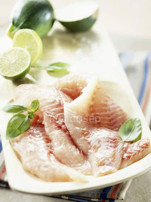 Raw grouper fillets — Stock Photo