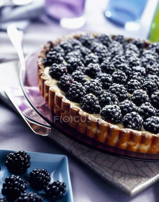 Homemade Blackberry tart — Stock Photo