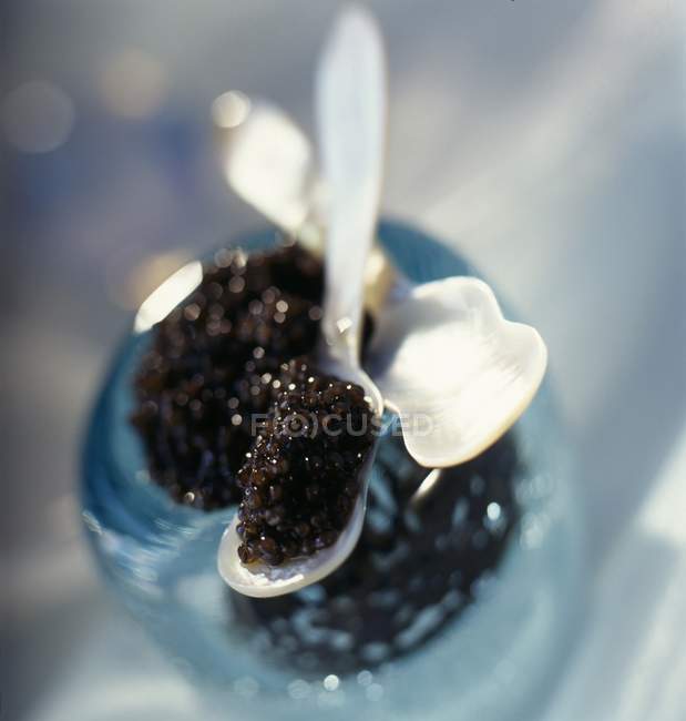 Cucharada de caviar beluga - foto de stock
