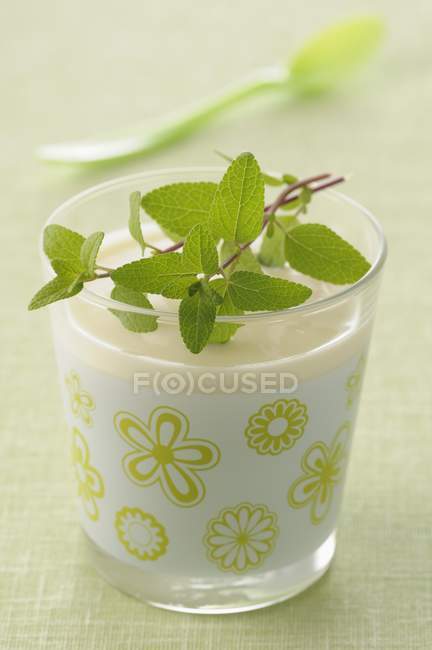 Iogurte de hortelã com folhas de hortelã — Fotografia de Stock