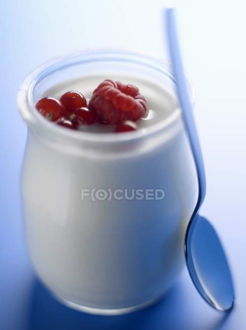 Pentola di yogurt biologico con frutta estiva — Foto stock