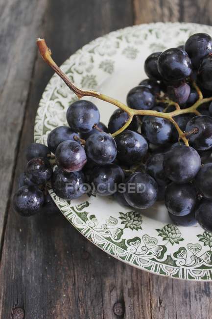 Uvas moradas con gotas de agua - foto de stock