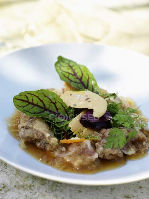 Terrina di coniglio con foie gras — Foto stock