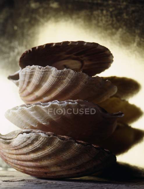 Closeup view of three piled scallops — Stock Photo