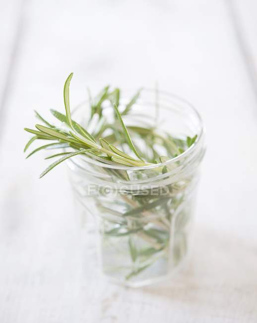 Fresh Rosemary in jar — Stock Photo