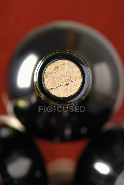 Cork of a bottle of wine — Stock Photo