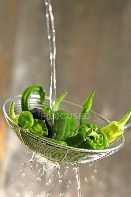 Fresh green peppers — Stock Photo