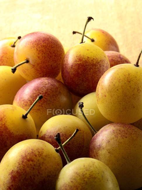 Fresh Mirabelle plums — Stock Photo