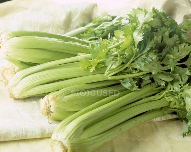 Fresh Celery stalks — Stock Photo