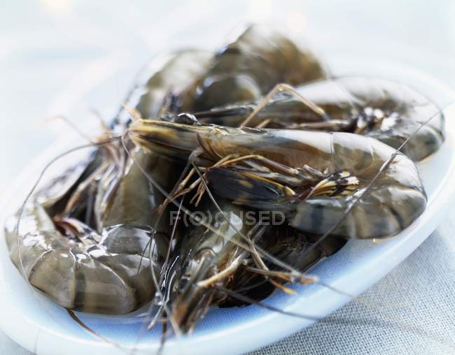 Raw shrimps portion — Stock Photo