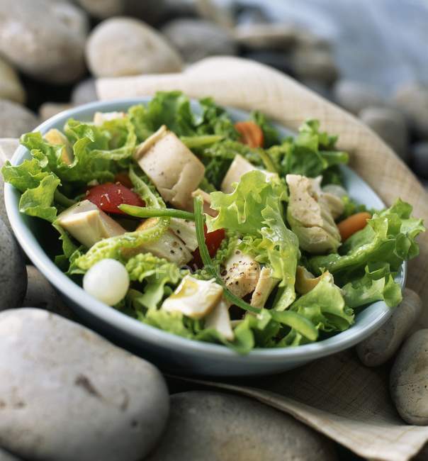 Салат из тунца в миске на камнях — стоковое фото