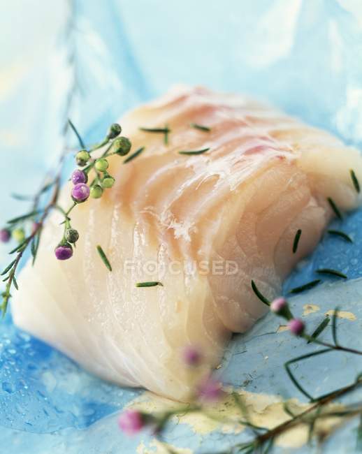 Pezzo di merluzzo bianco grezzo — Foto stock