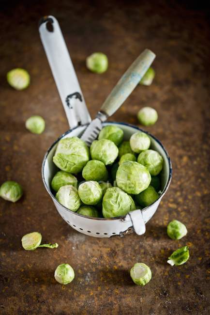 Fresh brussels sprouts — Stock Photo