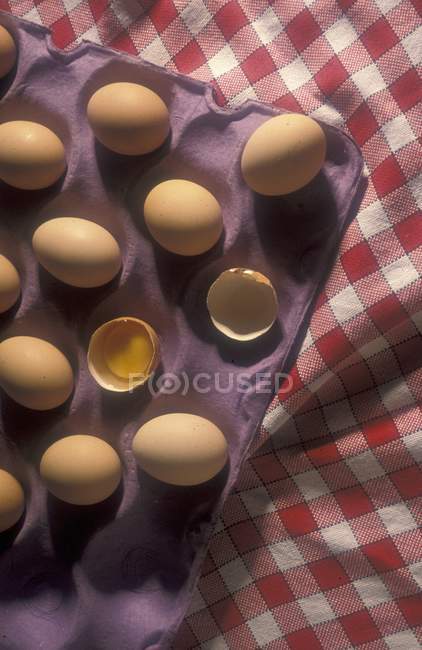 Яйца в коробке с яйцами — стоковое фото
