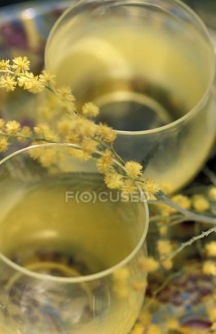Cóctel mimosa en vasos - foto de stock