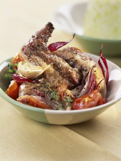 Kaninchenbraten mit Tomaten — Stockfoto