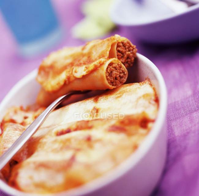 Spicy cannelloni pasta stuffed with meat — Stock Photo