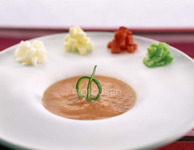 Gazpacho mit Gemüsewürfeln — Stockfoto