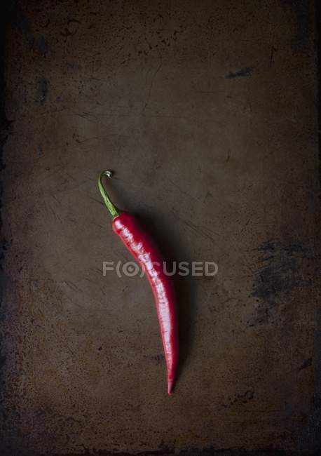 Un pod de chili rouge frais sur un plateau — Photo de stock