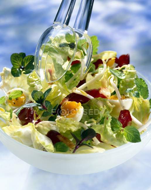 Oriental salad with mint — Stock Photo