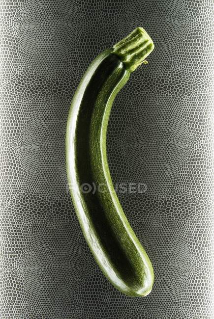Courgette verte fraîche — Photo de stock