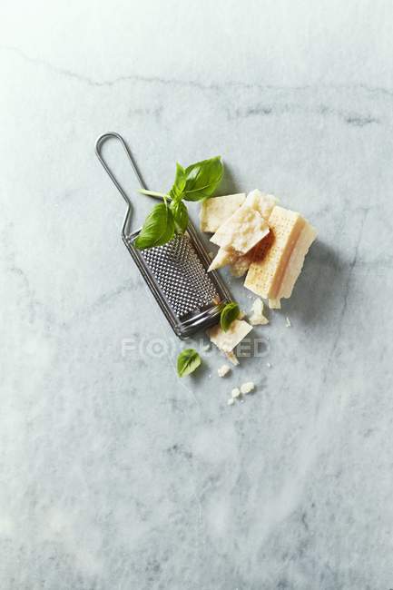 Parmesan with basil and grater — Stock Photo