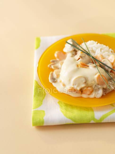 Chicken Blanquette on plate — Stock Photo