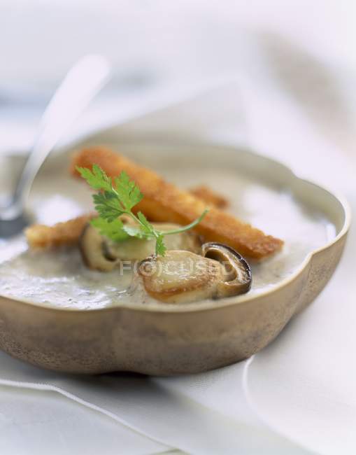 Closeup view of scallop and mushroom soup — Stock Photo