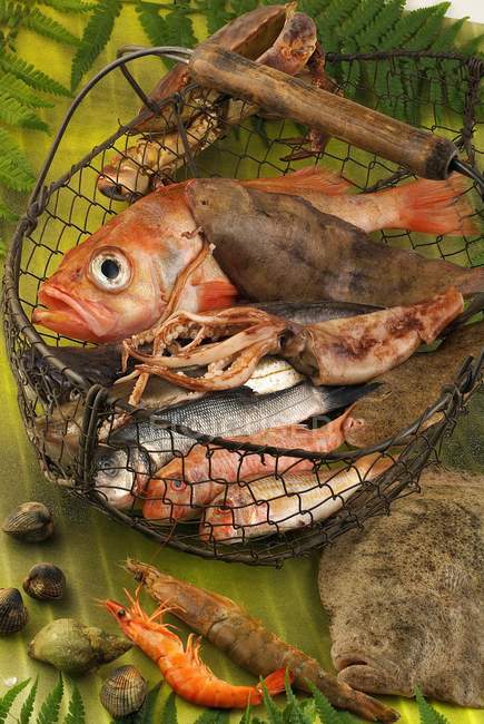 Sélection de poissons et crustacés — Photo de stock
