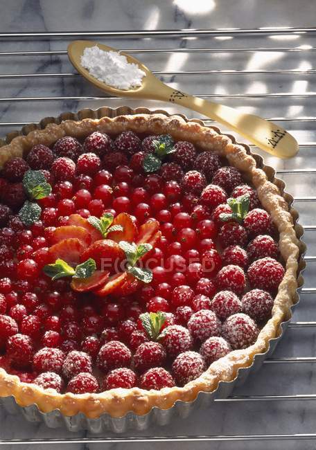 Summer berry tart — Stock Photo