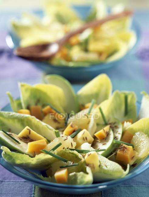 Цикорійський салат з манго — стокове фото