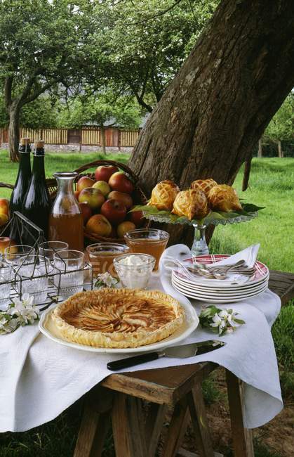 Vista diurna della tavola apparecchiata con frutta, piatti al forno e bevande all'aperto — Foto stock