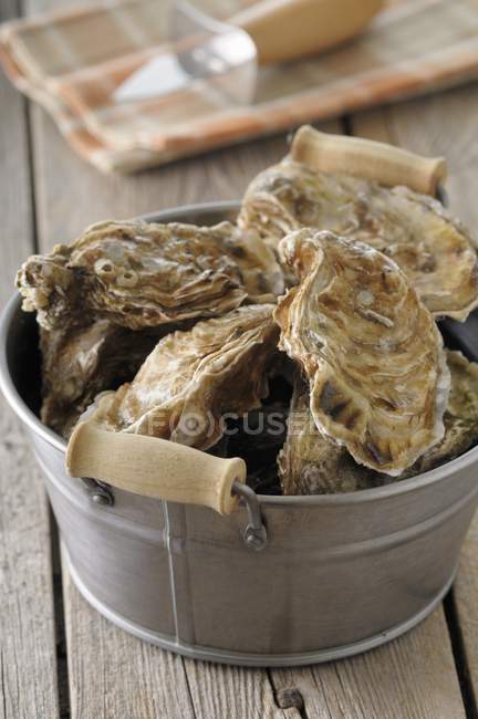 Secchio di ostriche fresche — Foto stock