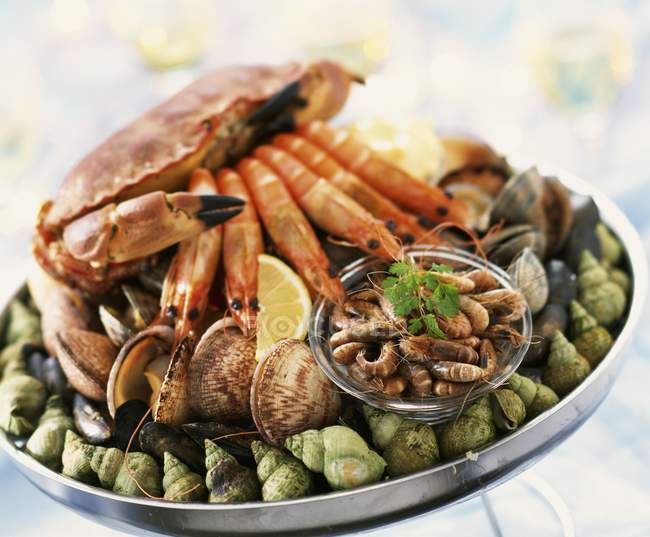 Closeup view of seafood platter with lemon and herb — Stock Photo